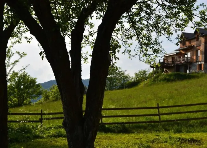 Le Petit Sapin Bleu *